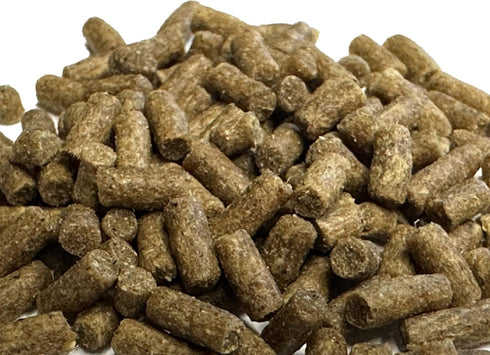 1LB 2.4mm Wpc-Co. Sinking Pellets for Freshwater Bottom Feeders, Shrimp & Snails Aquarium Food for Corydoras, Loaches