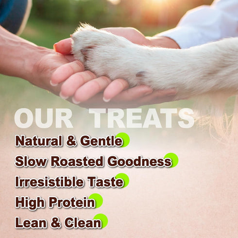 16 oz Pack A Freschi srl Chicken Jerky Dog Treats, All Natural, High-Protein, Healthy & Easily Digestible, Grain-Free