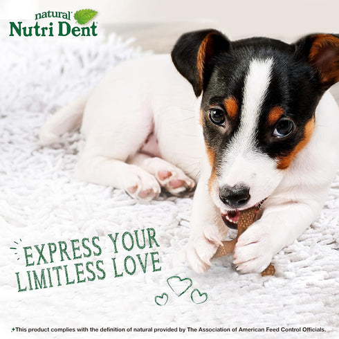 Nylabone Nutri Dent Dog Dental Chews, Filet Mignon Flavor, Small, 1 Count - Natural Teeth Cleaning & Breath Freshener