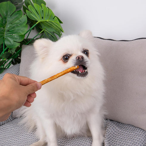 MON2SUN Dog Treats - 10.58oz (40 Count-Pack of 1) 5 Inch Chicken Wrapped Collagen Sticks for Small Dogs