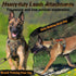rabbitgoo Medium No Pull Dog Harness - Tactical Service Vest with Molle, Adjustable, Brown Camo