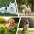 3Pack Reusable Female Dog Diapers, Washable Diaper for Doggie,Highly Absorbent Dog Diaper,Adjustable Leakproof Puppy