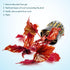 Sunset SubstrateSource Live Jungle Plants - Begonia Arabian (Begonia sp.) - Medium to High Light, Bronze Red Orange