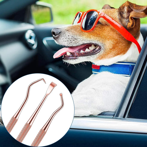 3 Pieces Dog Dental Tooth Scaler and Scraper, Stainless Double Headed Tool for Pet Teeth Cleaning