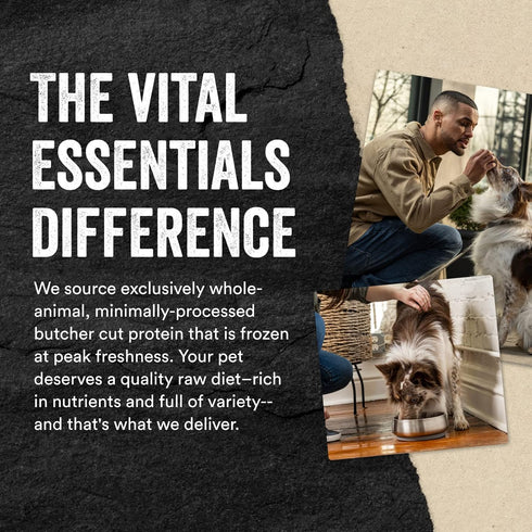 Vital Essentials Freeze Dried Raw Dog Food, Duck Mini Nibs Entree, 14 oz