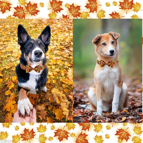 Unique Style Paws Fall Dog Collar with Bow, Adjustable Soft Comfy Bowtie Collar for Large Girl or Boy Dogs