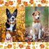 Unique Style Paws Fall Dog Collar with Bow, Adjustable Soft Comfy Bowtie Collar for Large Girl or Boy Dogs