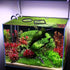 PAGOW 10pcs Fish Feeding Rings Set - Floating Aquarium Plant Corral, Round & Square Fish Feeder Rings