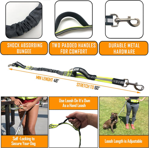 TAKSIN The Ultimate Hands-Free Dog Leash System for Walking, Running, Hiking, Training, Reflective Bungee Leash, Treat