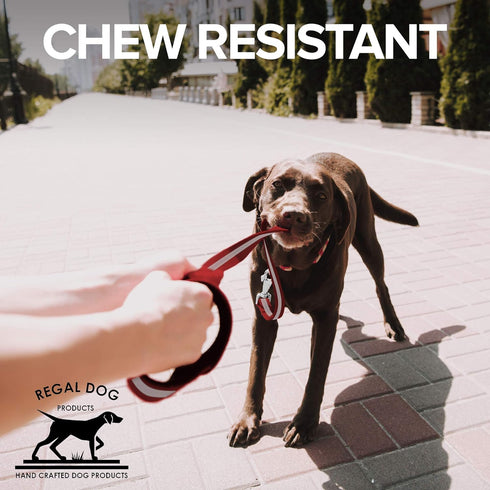 Regal Dog Products Reflective Leash – 5 ft. Lightweight Dog Leash for Small, Medium, Large, or XL Dogs (Red)