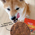 8 oz. Cloud Star Wag More Bark Less Sliders Dog Treats, Beef Cheeseburger Bag