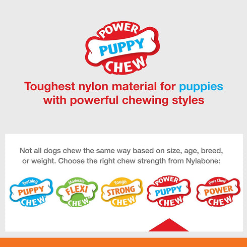 Nylabone Puppy Power Chew Knuckle Bone & Pop-In Treat Toy Combo, Chicken Medium/Wolf (1 Count)
