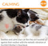 K&H Pet Products Mother's Heartbeat Plush Kitten Calming Toy, 6 Inch Heart Pillow for Red Kittens