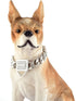 Dog Chain Collar with Cubic Zirconia Locking, High Polished Stainless Steel Cuban Link, 18" for Small Medium Dogs