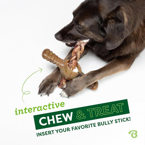 Benebone Pawplexer Interactive Treat Dispensing Tough Dog Puzzle Chew Toy, Medium, Real Bacon Flavor, Made in USA