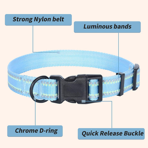 Mile High Life Nylon Night Light Glow Collar, Reflective Light Up Dog Collar for Small Medium Large Dogs (Blue, XS)