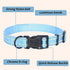 Mile High Life Nylon Night Light Glow Collar, Reflective Light Up Dog Collar for Small Medium Large Dogs (Blue, XS)