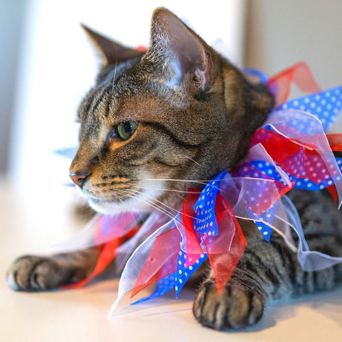 Midlee Medium Patriotic Dots Dog Collar for 4th of July