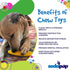 SodaPup Corn on The Cob Dog Chew Toy, Durable, Non-Toxic Nylon Material, Made in USA for Mental Stimulation