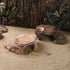 Turtle Basking Climbing Platform, Aquarium Fish Tank Ornament for Reptiles and Amphibians