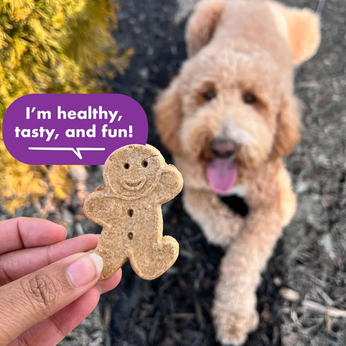 16 oz. Buddy Biscuits Box of Crunchy Dog Treats Made with Assorted Flavors of Roasted Chicken, Grilled Beef, and Sharp