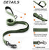 TwoEar 5FT 1IN Strong Green Dog Leash with 2 Padded Handles, Traffic Handle Extra Control, Comfortable Soft Dual Handle, Auto Lock Hook, Reflective walking Lead for Small Medium and Large Dogs