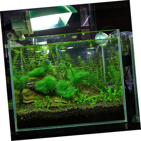 Fish Tank Spotlight LED Aquarium Light, Underwater LED Light for Fish Tank Supplies and Decoration