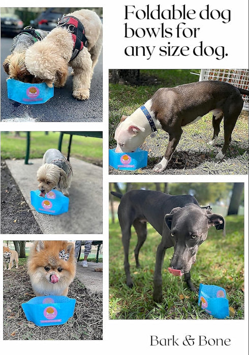Bark & Bone Collapsible Travel Dog Bowls (4 Pack) – Portable, Resealable, Foldable Food & Water Bowls – BPA-Free,