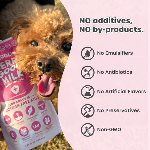 10-Pack 200ml CoQ10, Omega-3 Choolip Berry Good Milk for Cats & Dogs Lactose-Free Pet Milk, Pouches Vet-Formulated