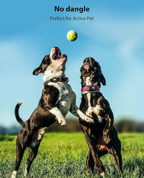Stouchi AirTag Holder for All Dog Collars & Harness, Protective Case with Pins Fixing Buckle for iPhone