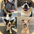 BAOBOTE 15MM Gold Stainless Steel Heavy Duty Chew Proof Dog Collar with Cuban Link Chain (22" Gold)