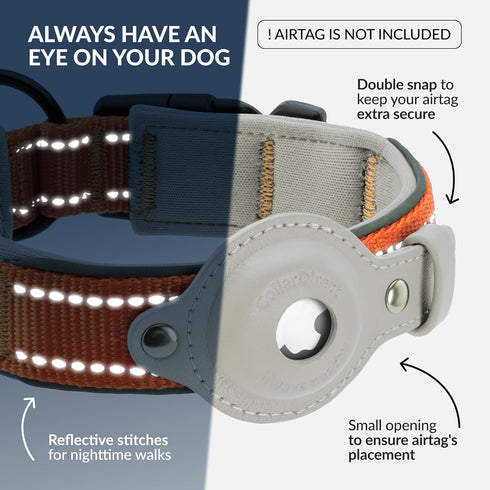 Airtag Dog Collar, CollarDirect Reflective Collar for Apple Air Tag, Large, Medium, Small Dogs, Orange