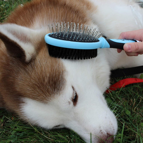 Double Sided Pet Grooming Brush, Royal Blue