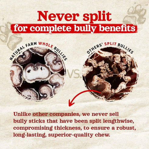 Natural Farm Odor-Free Thick Bully Sticks, 6”, 5-Pack, All-Natural Long-Lasting Dog Chews, 100% Beef Pizzle