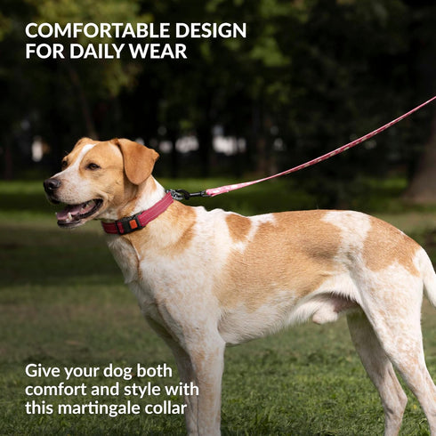 CollarDirect Martingale Dog Collar with Stainless Steel Chain, Quick Release Buckle, Reflective for Large, Medium,