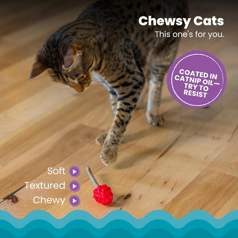 4 Catstages Dental Raspberry Teether with Silvervine Sticks Included, Cat and Kitten Teething Toy, Red