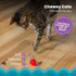 4 Catstages Dental Raspberry Teether with Silvervine Sticks Included, Cat and Kitten Teething Toy, Red