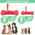 GoSports Chew Champ Bully Stick Holder for Dogs - Securely Holds Bully Sticks to Help Prevent Choking - 6 in or 8 in