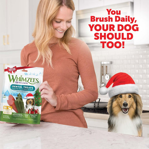 Whimzees by Wellness Natural Grain Free Dental Chews for Dogs, Medium Breed, 6 count