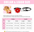 Pet Artist Girl Rhinestone Suede Dog Collar for Small Dogs, Soft Flower Collar, Bling Set, Neck 10-12", Leash 4ft