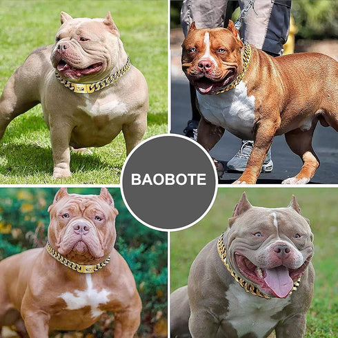 Gold Dog Chain Collar, Heavy Duty Cuban Link Chain with Secure Buckle for Small Medium Large Dogs (12" Gold)