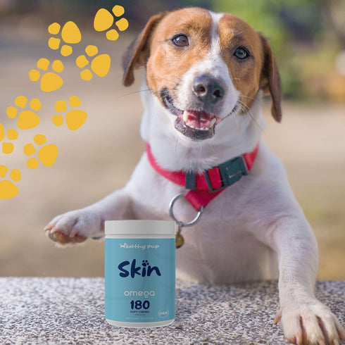 Dog Fish Oil Supplements - 180 Chew Treats with Omega 3, EPA, DHA, Biotin, and Vitamin E for Healthier Skin