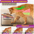Elevated Cat Bowls, Raised Stainless Steel Bowls for Indoor Cats, Tilted Cat Food Dishes, Feeding Station