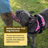 Bark Appeal No-Pull Dog Harness, Adjustable & Reflective, Soft-Padded Vest with Easy Control Handle & 3 Leash Clips