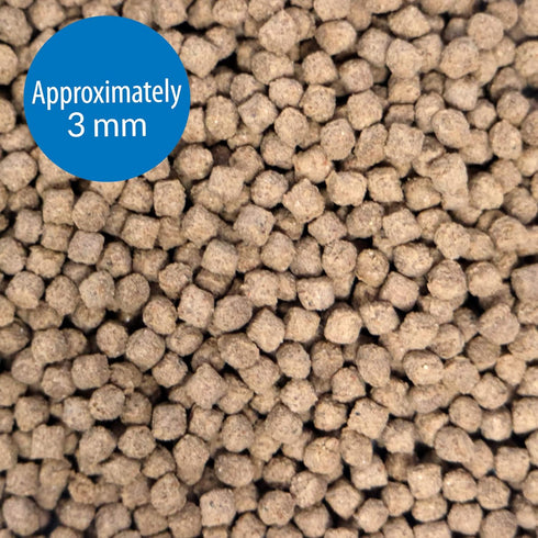 API BOTTOM FEEDER PELLETS WITH SHRIMP Fish Food 1.3-Ounce Container