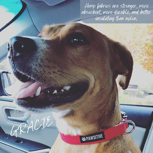 Hemp Dog Collar, Hypoallergenic Padded Adjustable Collar for Small, Medium, and Large Dogs, Small Red