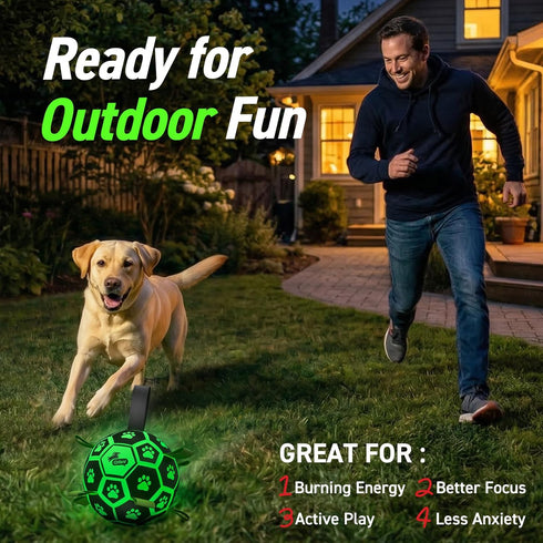 (8 Inch) QDAN Glow in The Dark Dog Toys Soccer Ball with Straps - Light Up Dog Balls for Large Dogs, Interactive Dog