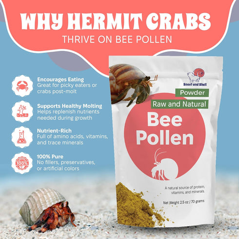 2.5 oz Snout and Shell Bee Pollen Powder for Hermit Crabs Natural Food Supplement for Molting & Recovery Auto Feeder