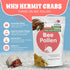 2.5 oz Snout and Shell Bee Pollen Powder for Hermit Crabs Natural Food Supplement for Molting & Recovery Auto Feeder