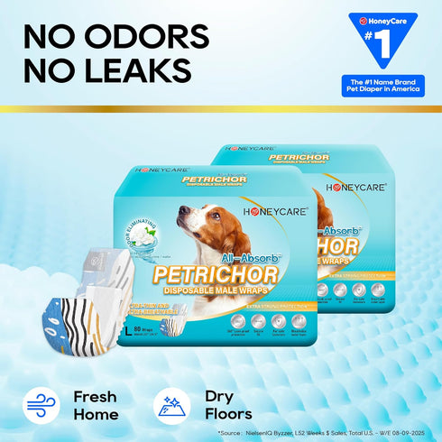 80 Count HONEY CARE All Absorb Petrichor Male Dog Wraps, Fresh Smell Dog Diaper, Disposable, Large, Print